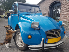 Duckatti 2cv Bijoux